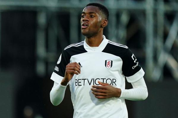 ม้าลายสนใจ Tosin  Adarabioyo แนวรับฟูแล่ม